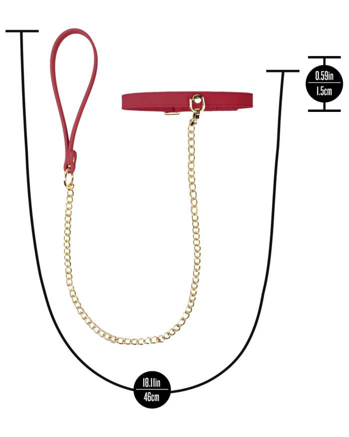 Temptasia Ardor Silicone Collar & Leash