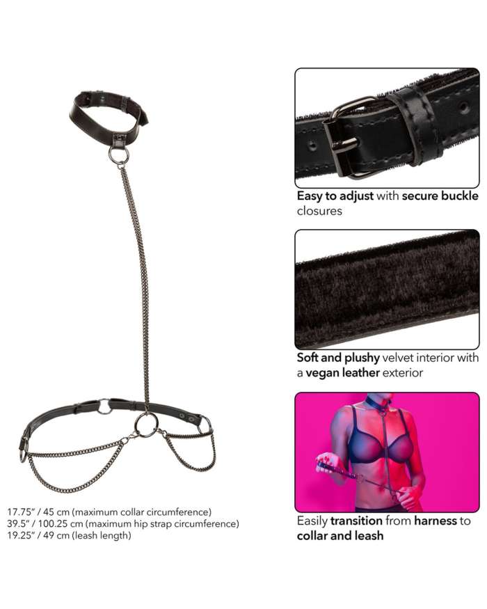 CalExotics Euphoria Collection Chain Halter Collar & Leash