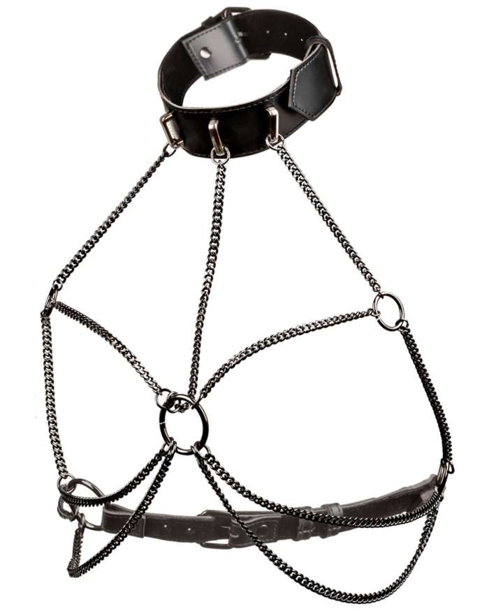 CalExotics Euphoria Collection Plus Size Multi Chain Collar Harness