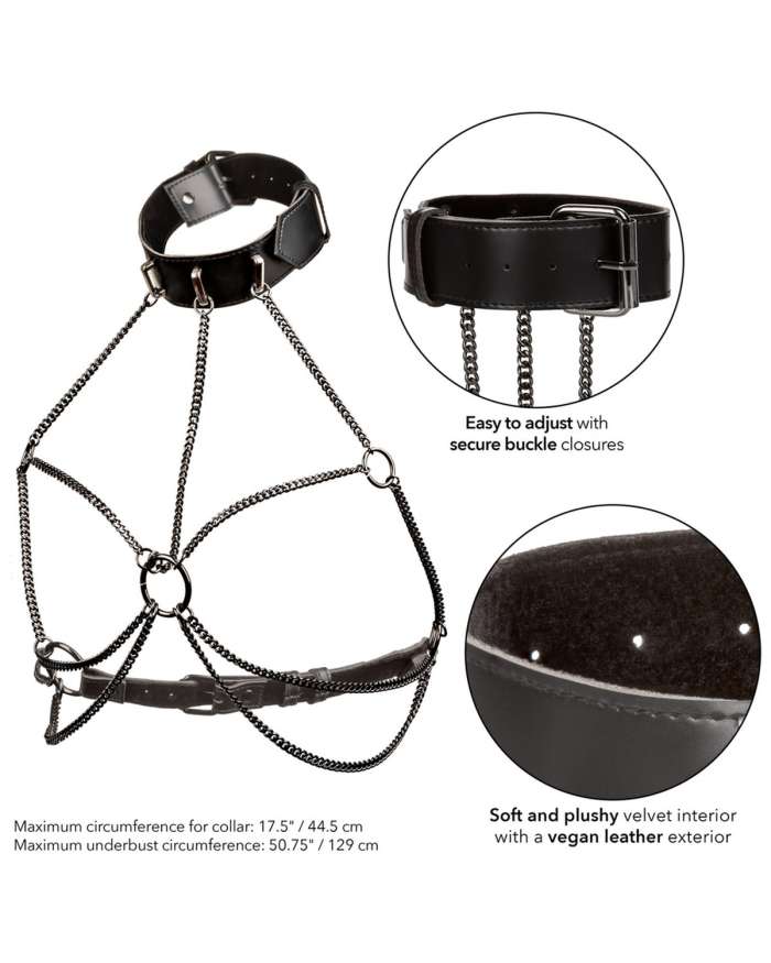 CalExotics Euphoria Collection Plus Size Multi Chain Collar Harness