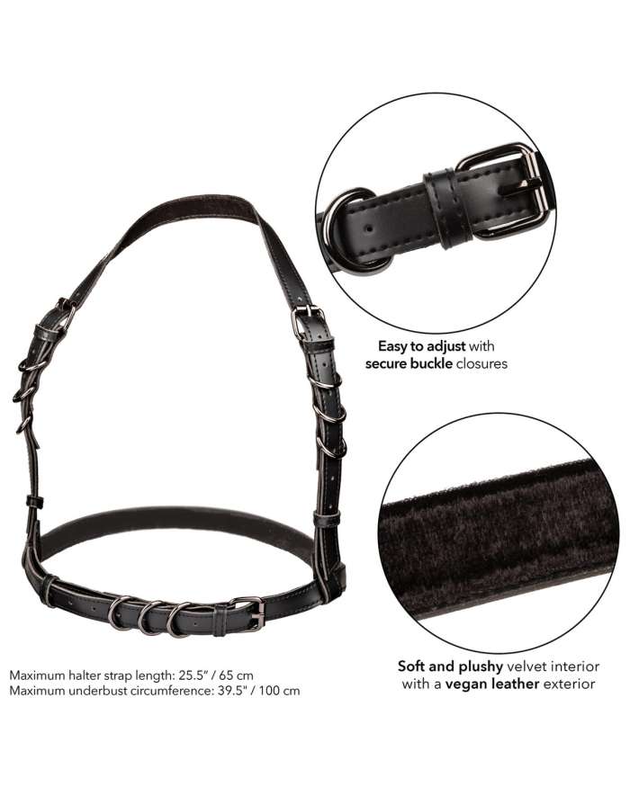 CalExotics Euphoria Halter Buckle Harness