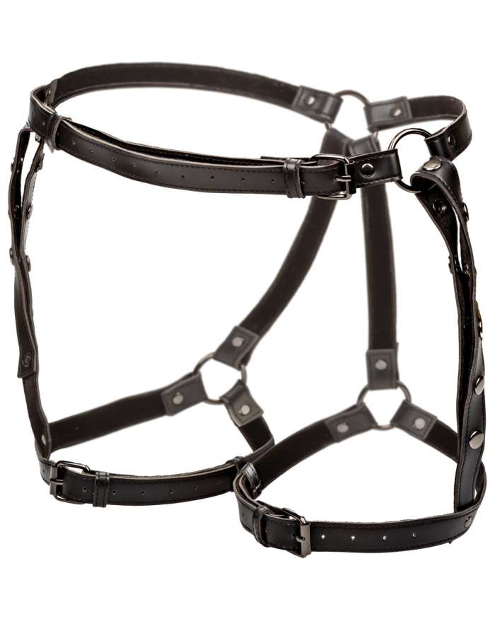 CalExotics Euphoria Plus Size Riding Thigh Harness