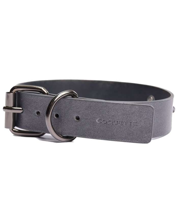 Coquette Gunmetal Glam Collar & Leash