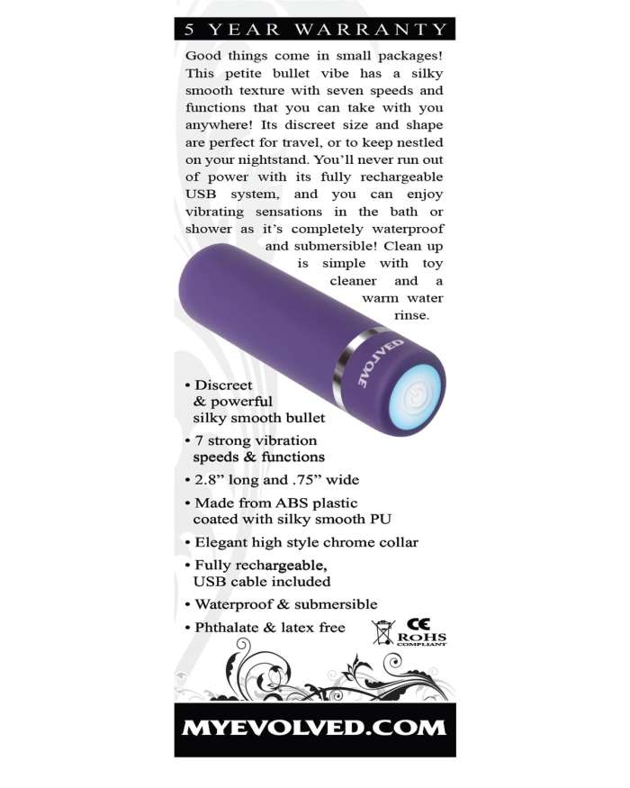 Evolved Purple Passion Rechargeable Bullet Vibrator