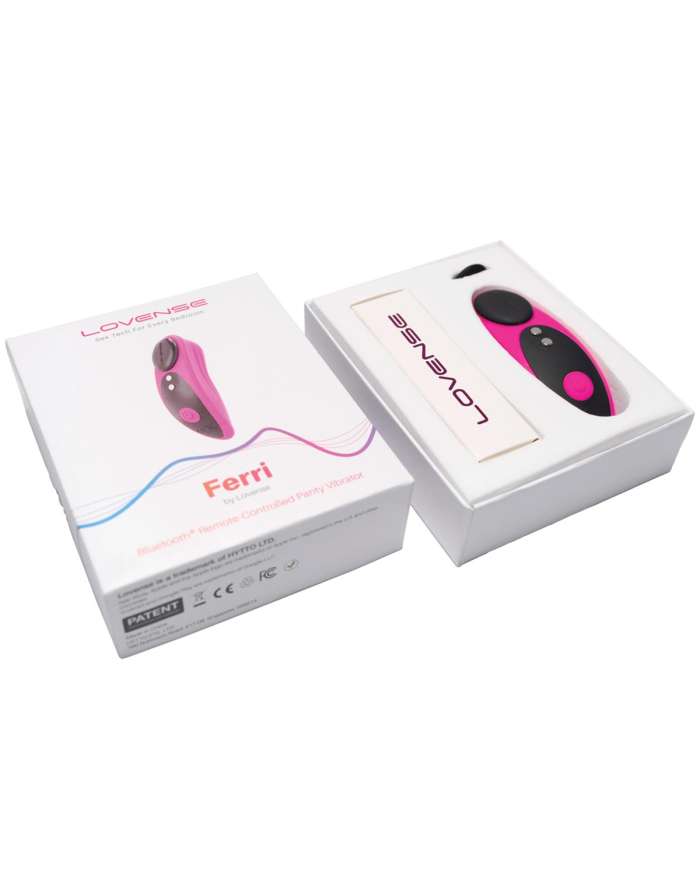Lovense Ferri Magnetic Panty Vibrator