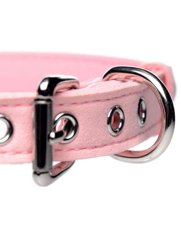 Master Series Golden/Sugar Kitty Cat Bell Collar