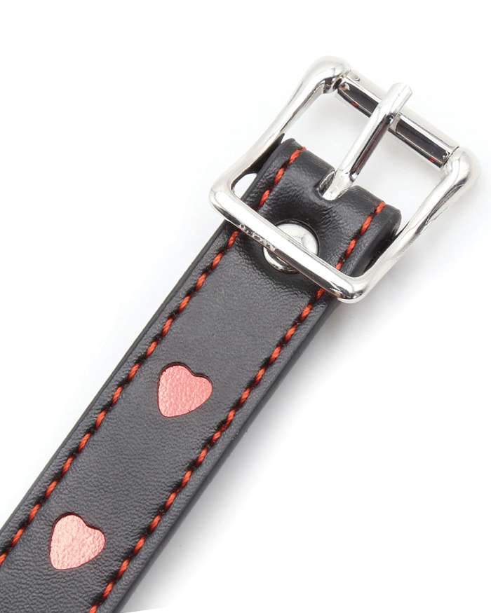 Plesur Heart Ball Gag with Red Hearts