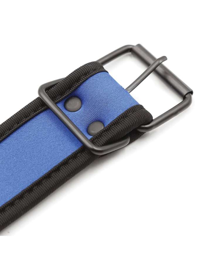 Plesur Neoprene Puppy Collar