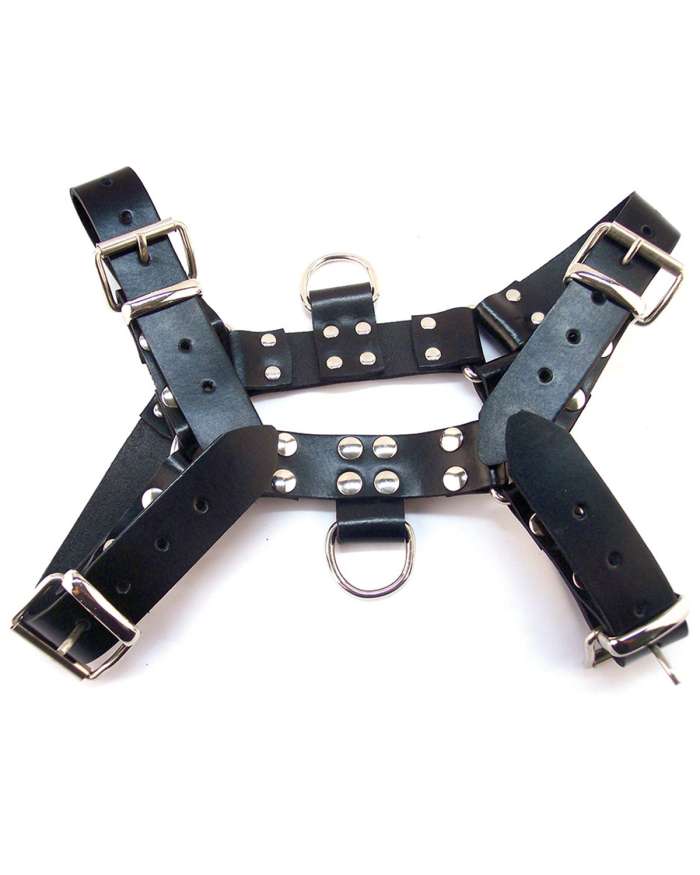 Rouge Over the Head Leather Harness