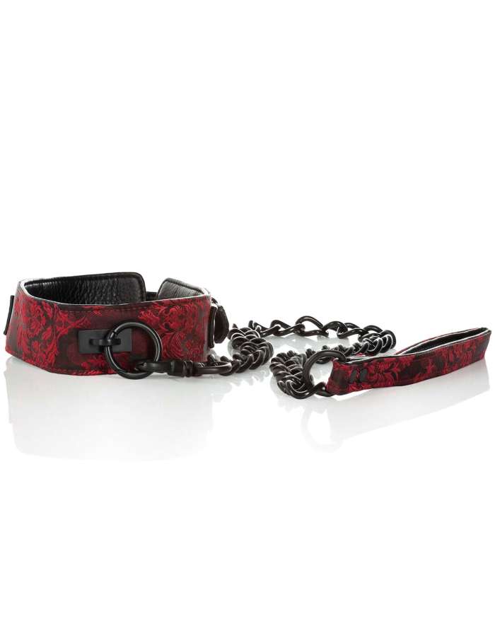 Scandal Collar with Leash