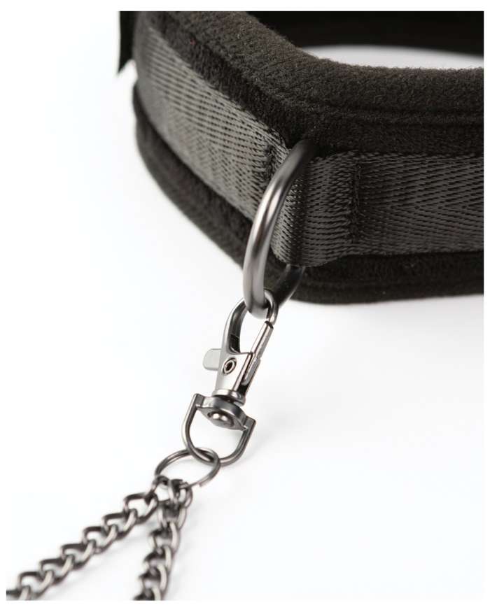 Sei Mio Twin Tweaks Collar and Nipple Clamps