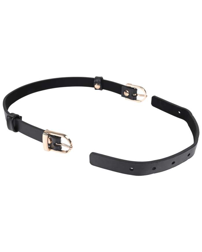 Sex & Mischief Double Buckle Day Collar