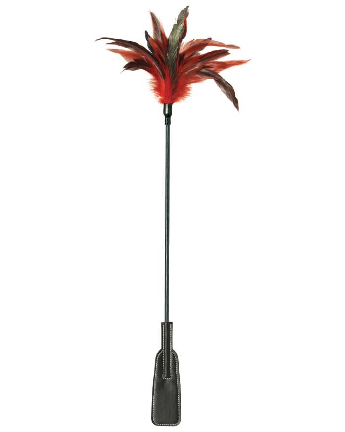 Sex & Mischief Feather Slapper