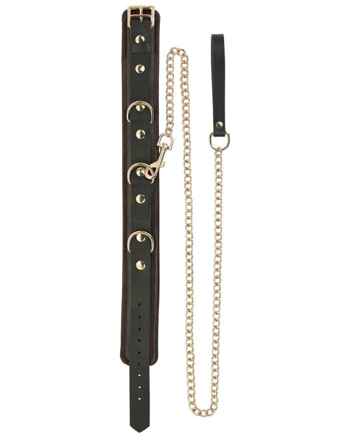 Spartacus Brown Leather Collar with Gold Accent Chain Leash