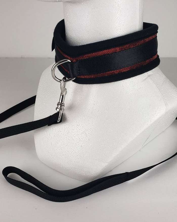 Spartacus Neoprene Collar & Leash