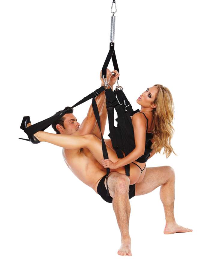 WhipSmart Pleasure Swing