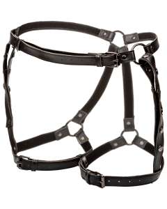 CalExotics Euphoria Plus Size Riding Thigh Harness