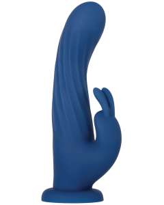 Evolved Rotating Rabbit with Remote