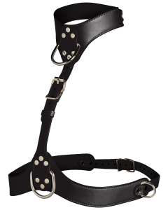 Master Series Vixen Female Chest Harness