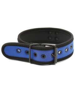 Plesur Neoprene Puppy Collar