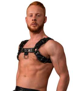 Rouge Over the Head Leather Harness