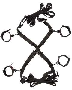 Scandal Over The Bed Cross