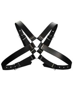 Shots Ouch Men's Large Buckle Harness