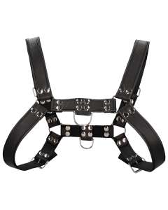 Shots Uomo Leather Chest Bulldog Harness