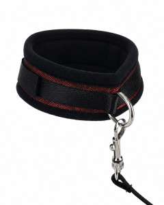 Spartacus Neoprene Collar & Leash