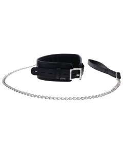 Sportsheets Edge Collar & Leash