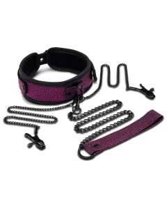 WhipSmart Dragon's Lair Collar, Leash & Nipple Clips