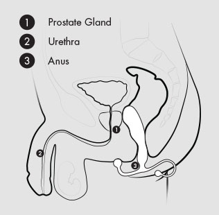 Prostate Stimulation - The Aneros Way