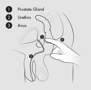Prostate Stimulation - The Original Way